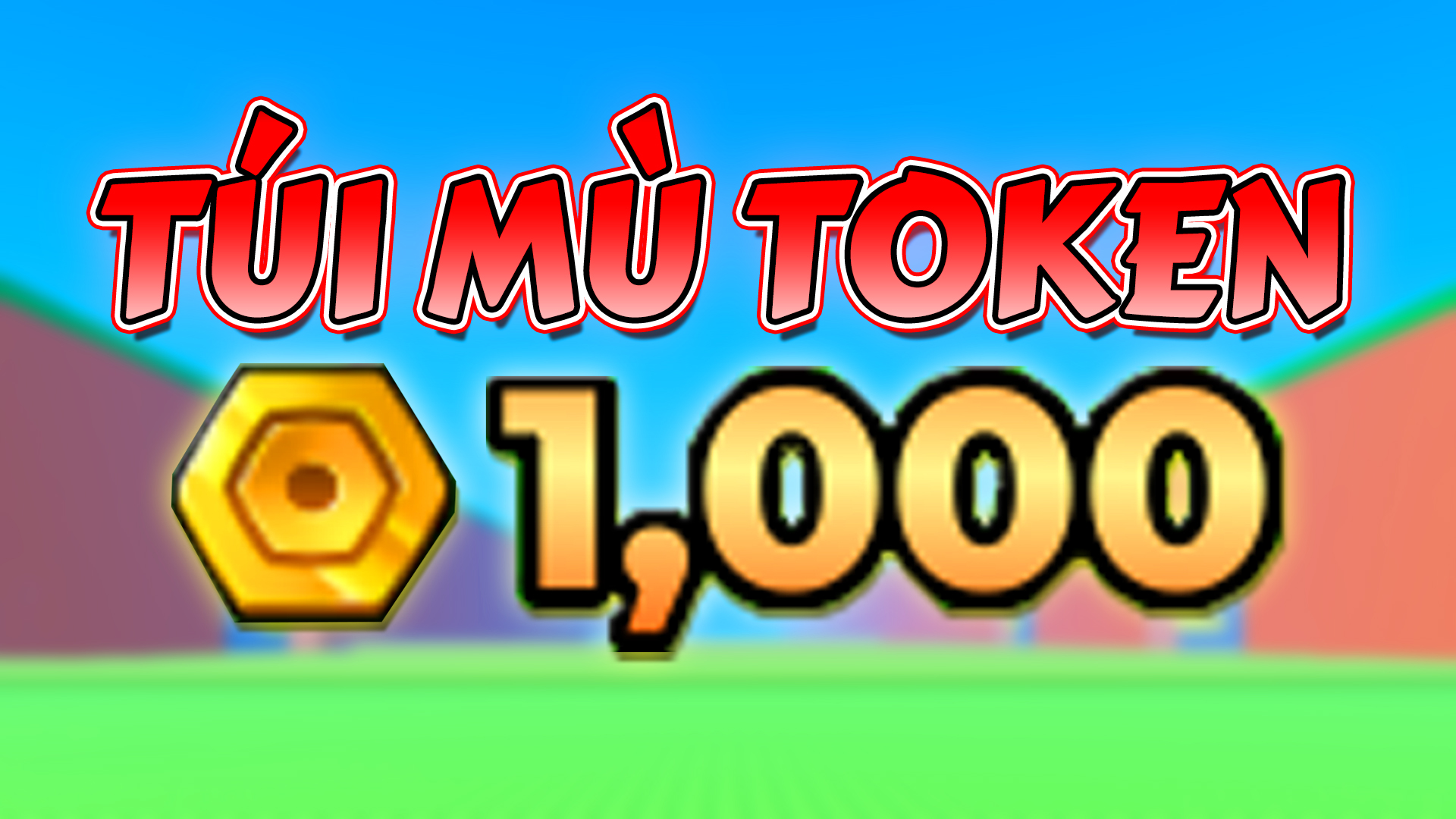 TÚI MÙ TOKEN