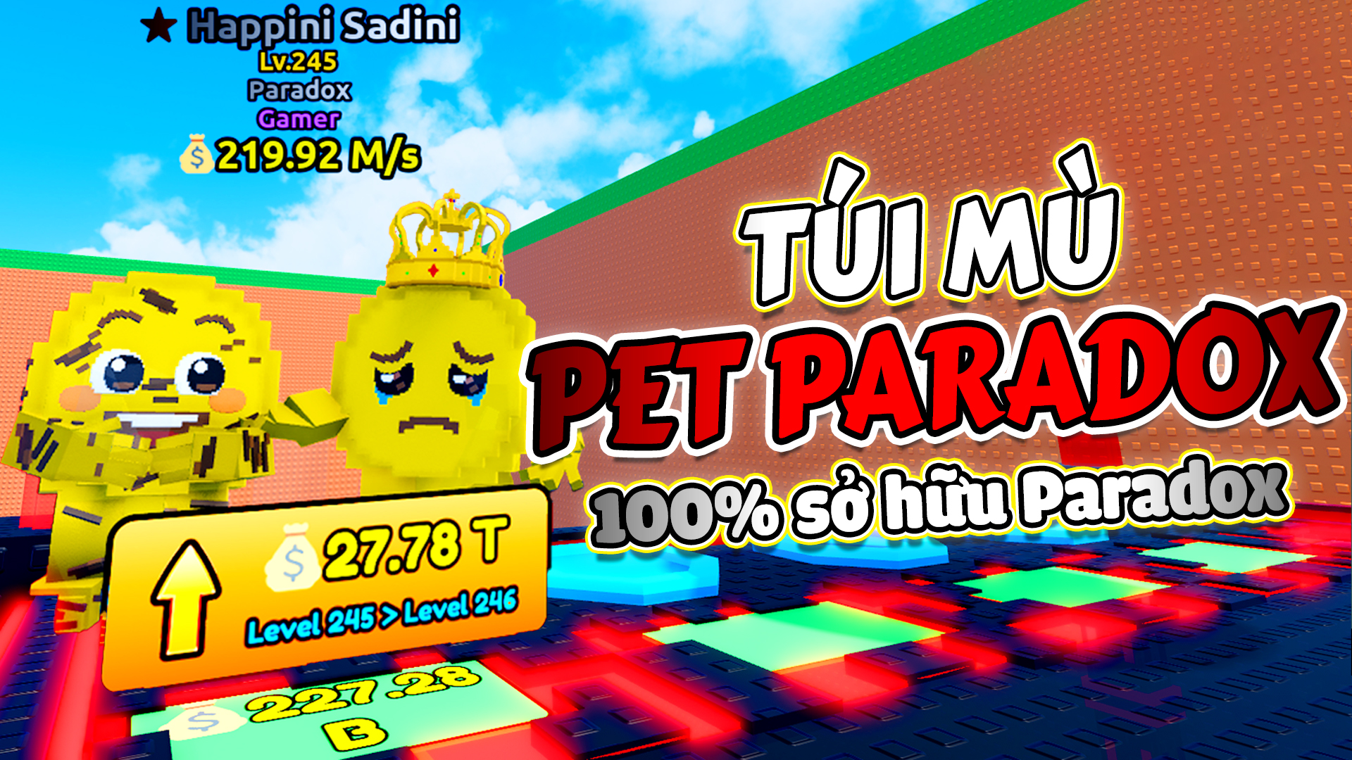 TÚI MÙ PARADOX